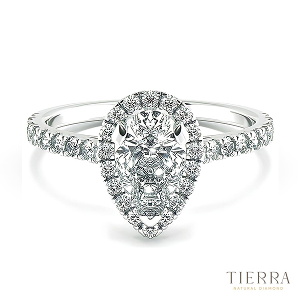 Nhẫn kim cương nữ Halo đai tấm NCH8301